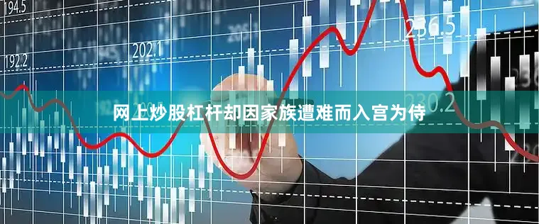 网上炒股杠杆却因家族遭难而入宫为侍