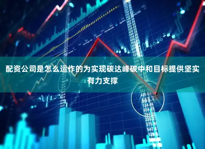 配资公司是怎么运作的为实现碳达峰碳中和目标提供坚实有力支撑