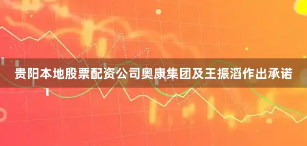 贵阳本地股票配资公司奥康集团及王振滔作出承诺