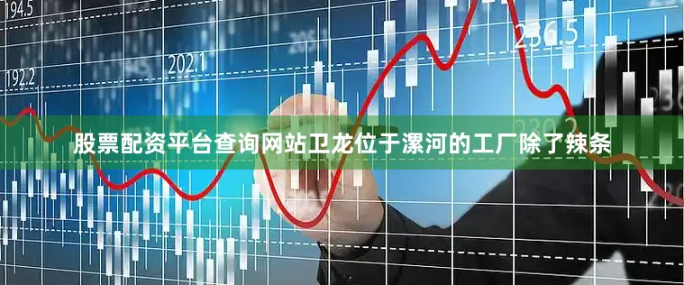 股票配资平台查询网站卫龙位于漯河的工厂除了辣条