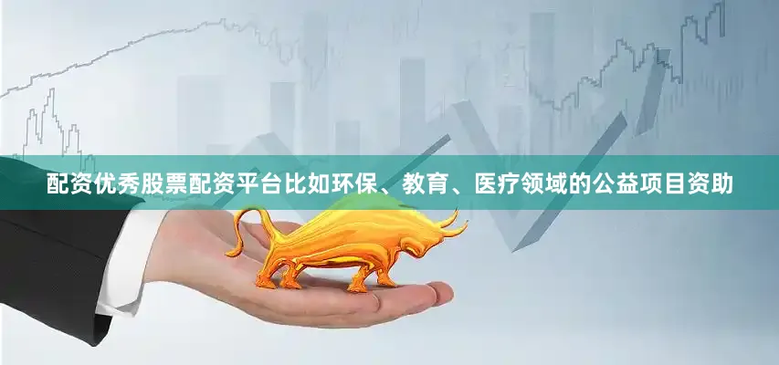 配资优秀股票配资平台比如环保、教育、医疗领域的公益项目资助
